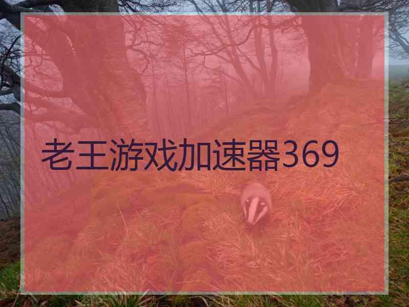 老王游戏加速器369