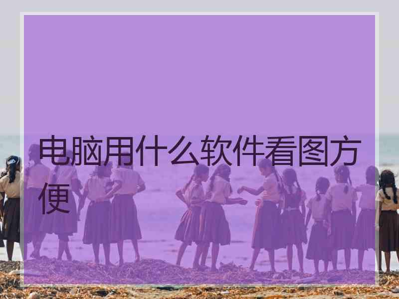 电脑用什么软件看图方便