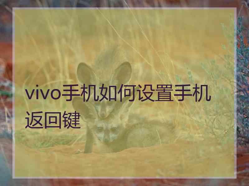 vivo手机如何设置手机返回键