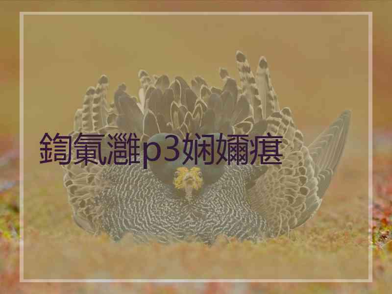 鍧氭灉p3娴嬭瘎