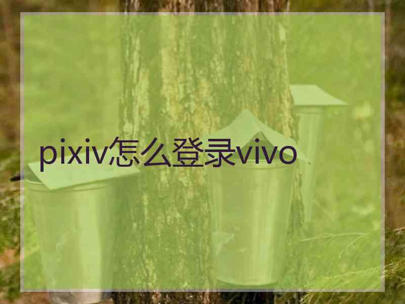 pixiv怎么登录vivo