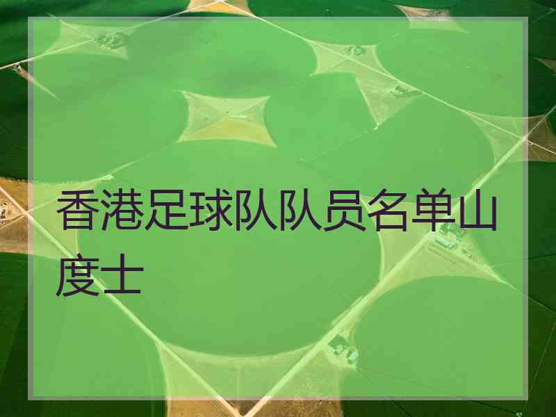 香港足球队队员名单山度士