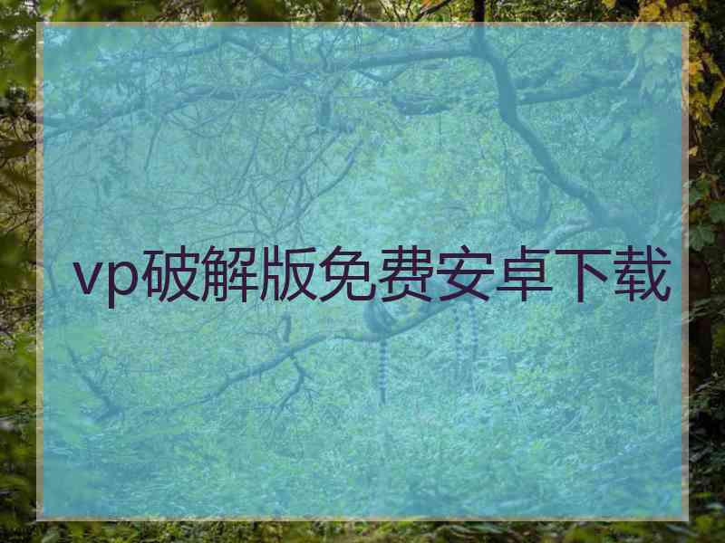vp破解版免费安卓下载