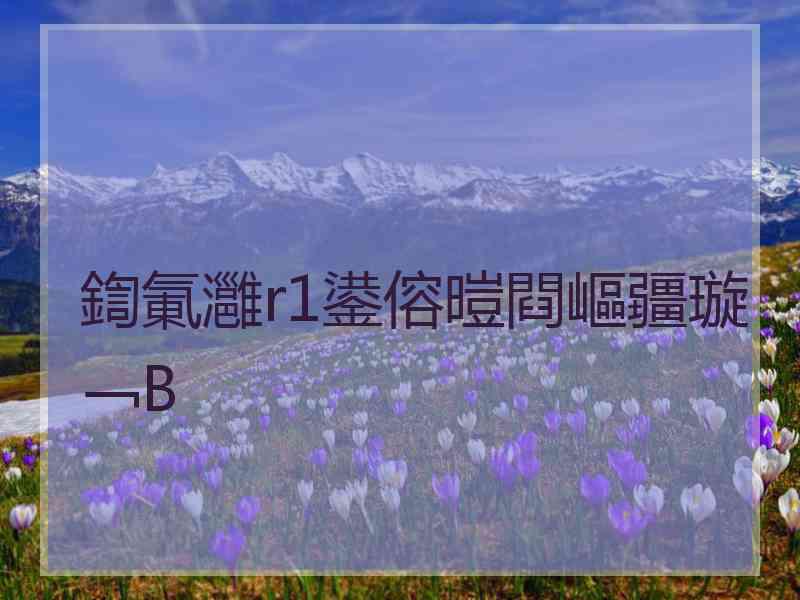 鍧氭灉r1鍙傛暟閰嶇疆璇﹁В