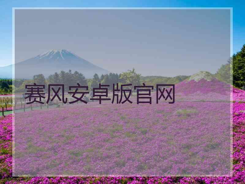 赛风安卓版官网