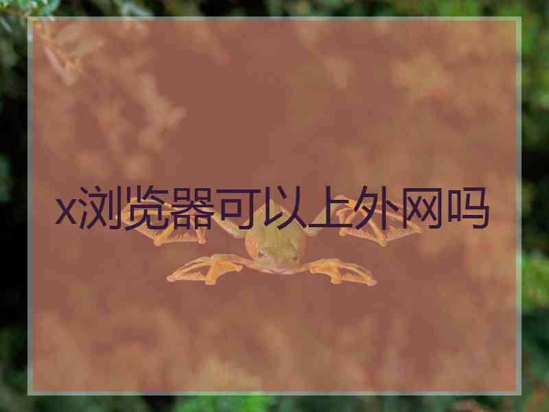 x浏览器可以上外网吗