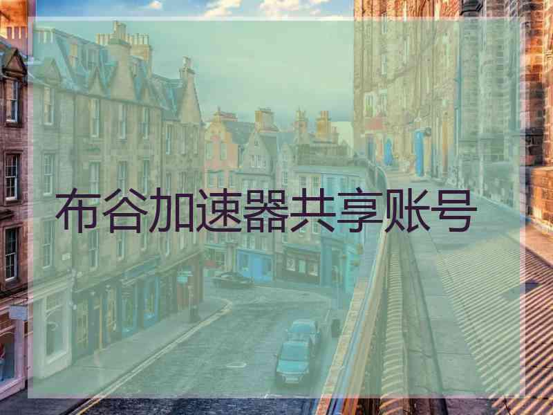 布谷加速器共享账号