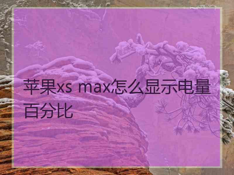 苹果xs max怎么显示电量百分比