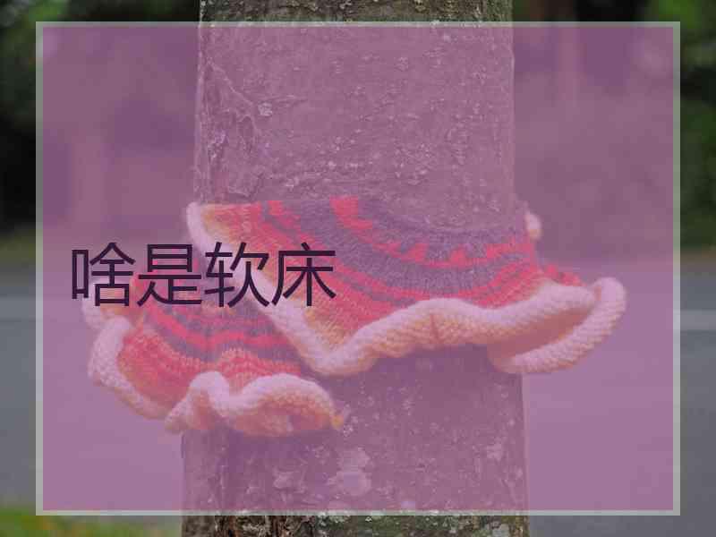 啥是软床