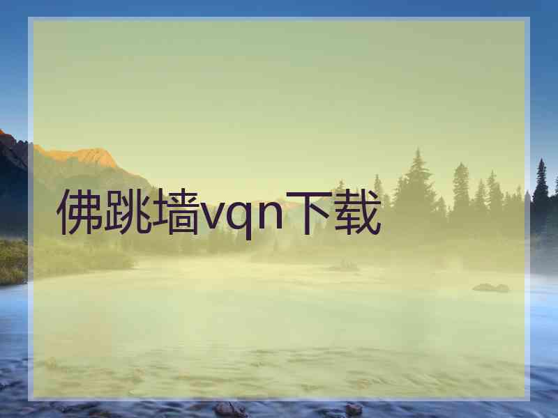 佛跳墙vqn下载
