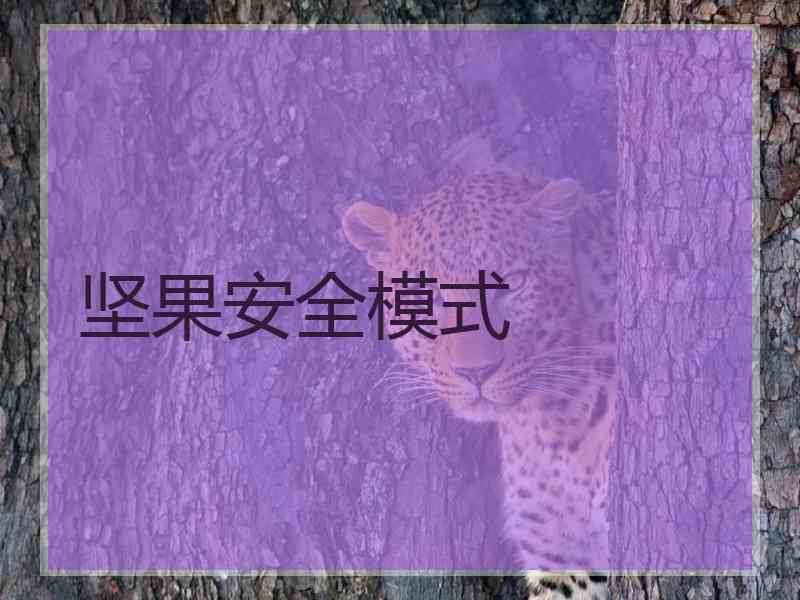 坚果安全模式