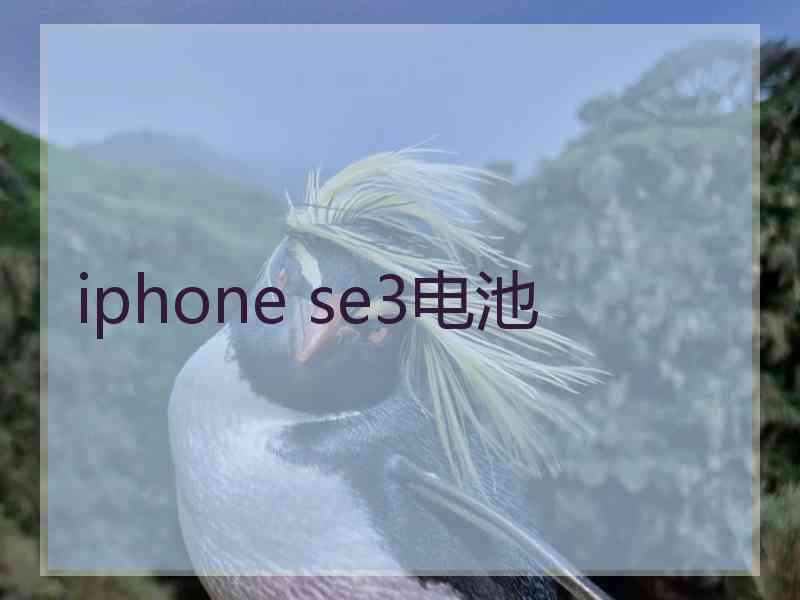 iphone se3电池
