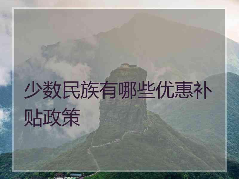 少数民族有哪些优惠补贴政策