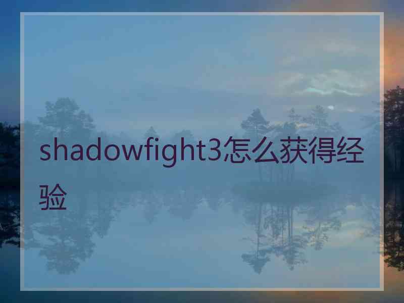 shadowfight3怎么获得经验
