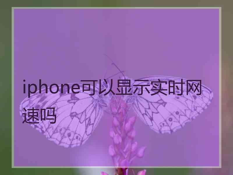 iphone可以显示实时网速吗