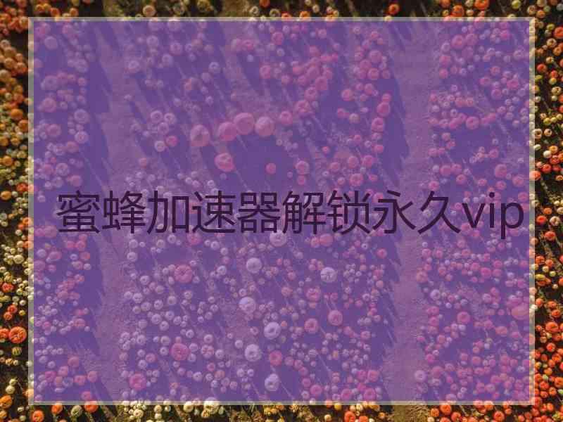 蜜蜂加速器解锁永久vip