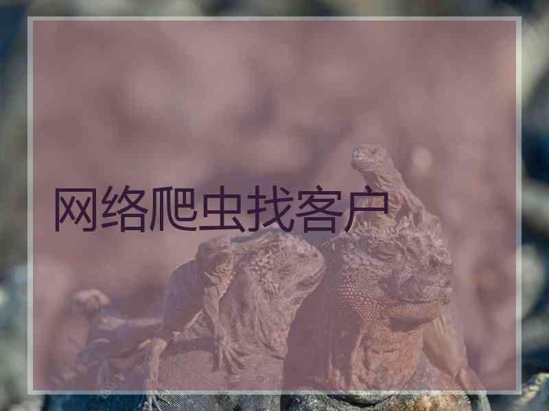 网络爬虫找客户