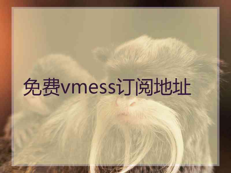 免费vmess订阅地址