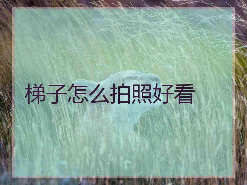 梯子怎么拍照好看