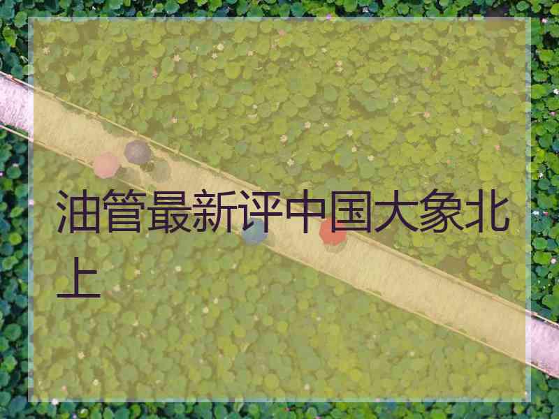 油管最新评中国大象北上