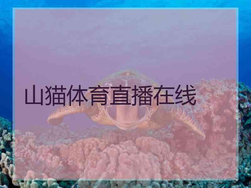 山猫体育直播在线