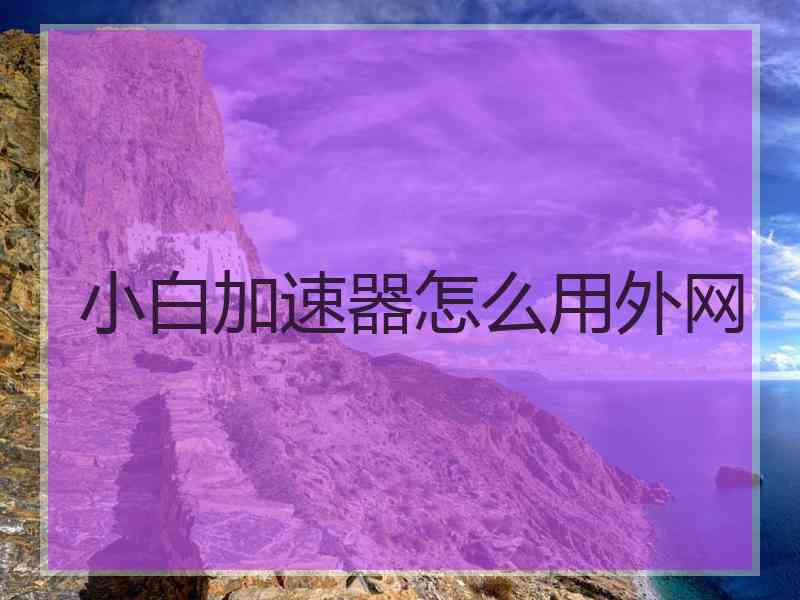 小白加速器怎么用外网