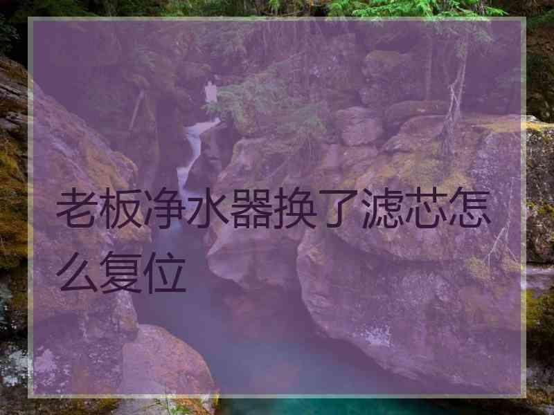 老板净水器换了滤芯怎么复位