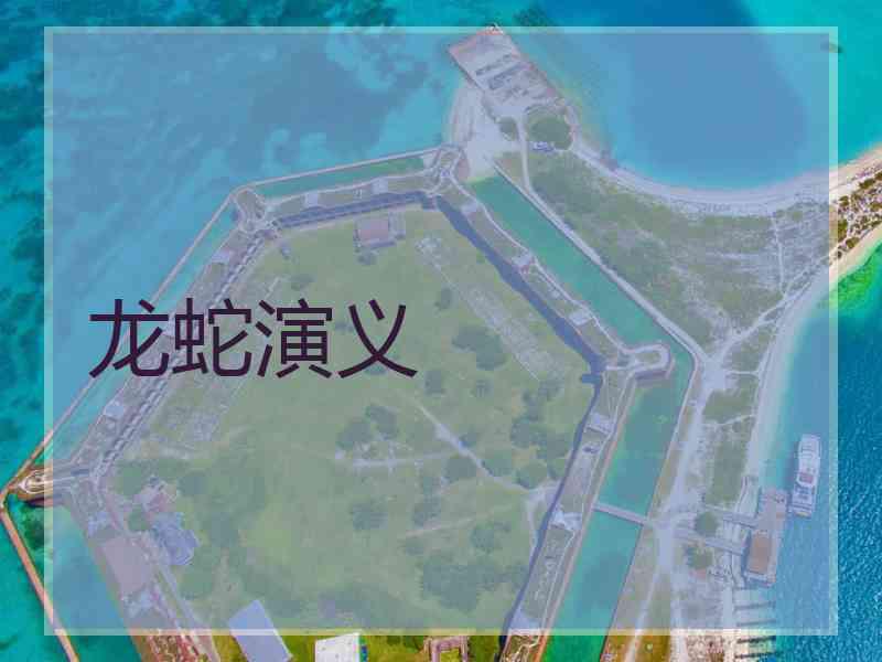 龙蛇演义