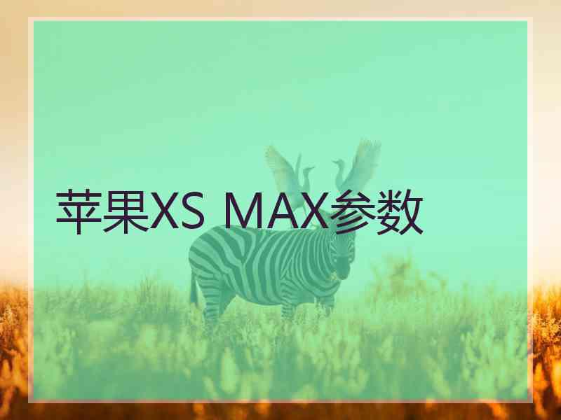 苹果XS MAX参数