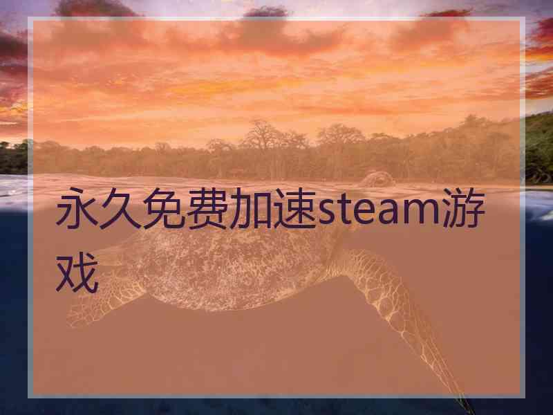 永久免费加速steam游戏