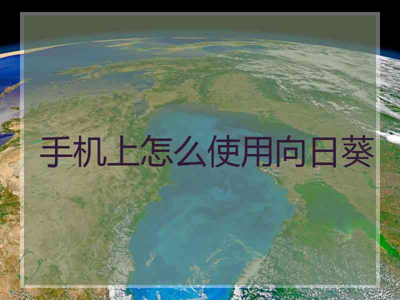 手机上怎么使用向日葵