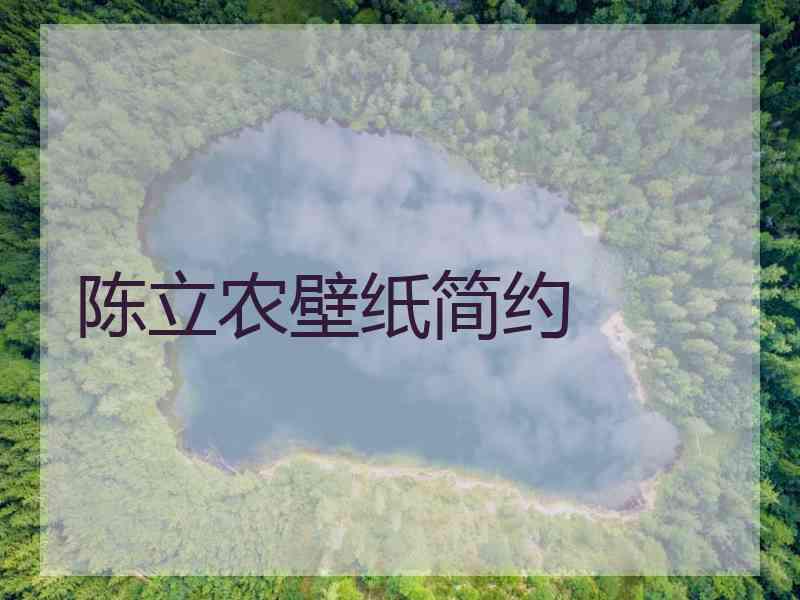 陈立农壁纸简约