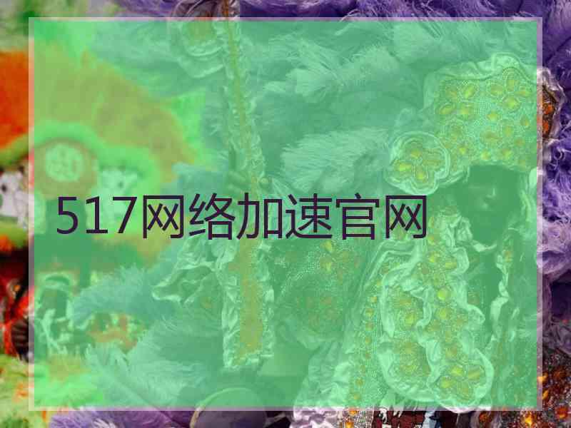 517网络加速官网