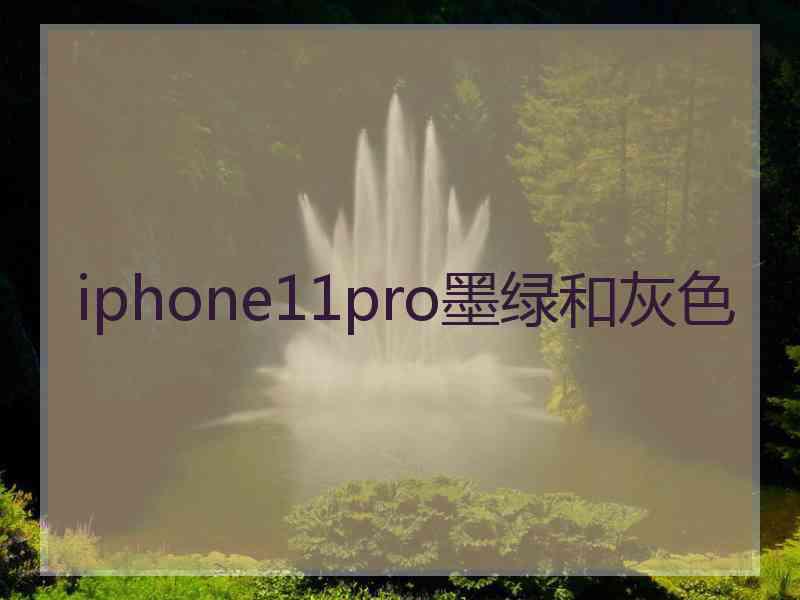 iphone11pro墨绿和灰色