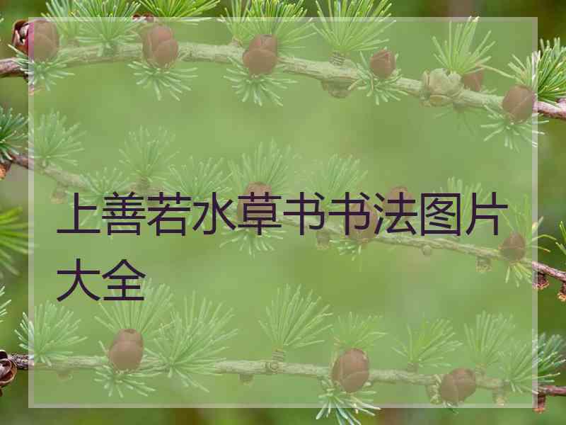 上善若水草书书法图片大全