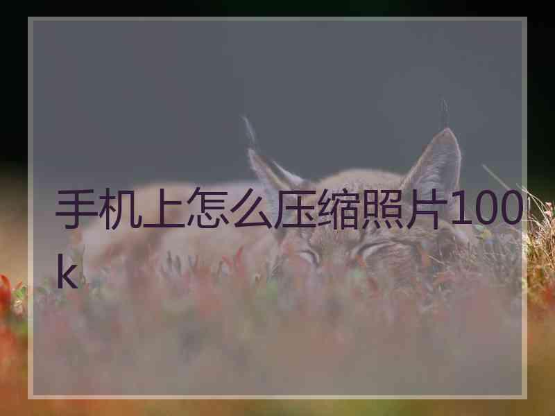 手机上怎么压缩照片100k