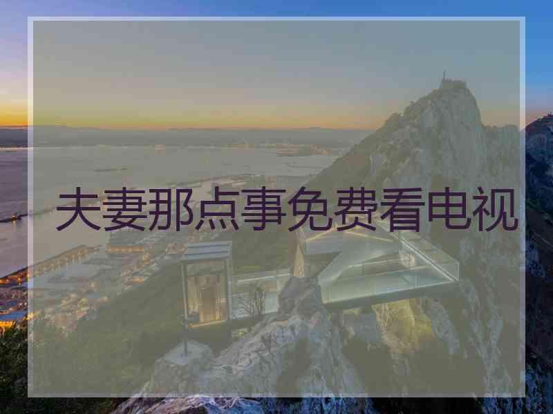 夫妻那点事免费看电视