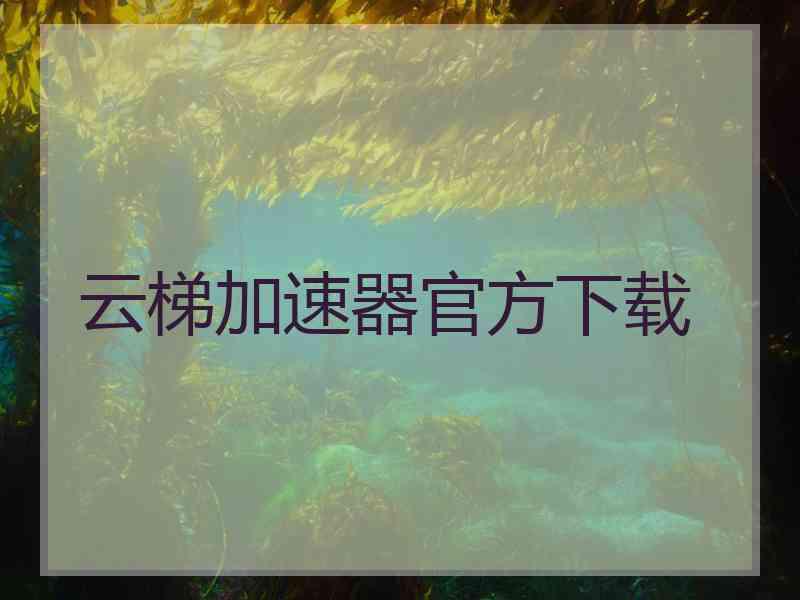 云梯加速器官方下载