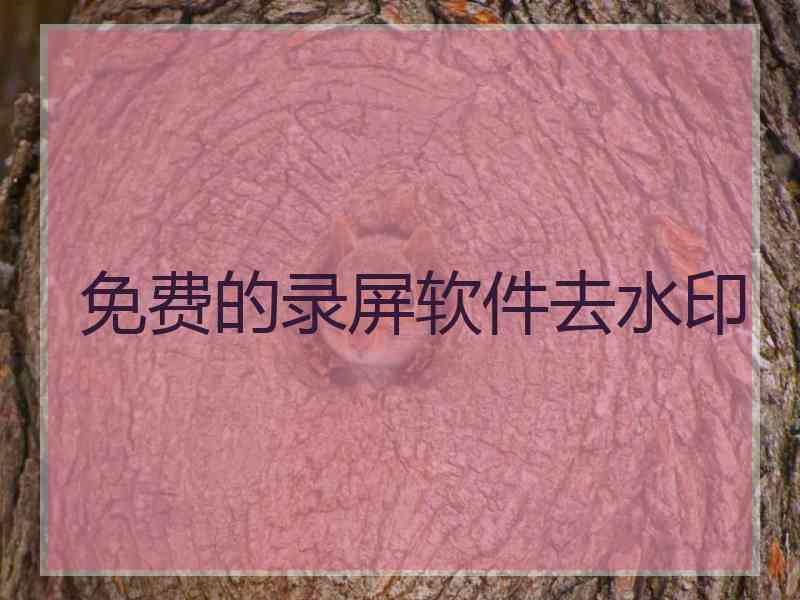 免费的录屏软件去水印