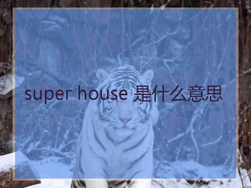 super house 是什么意思