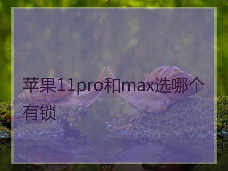 苹果11pro和max选哪个有锁
