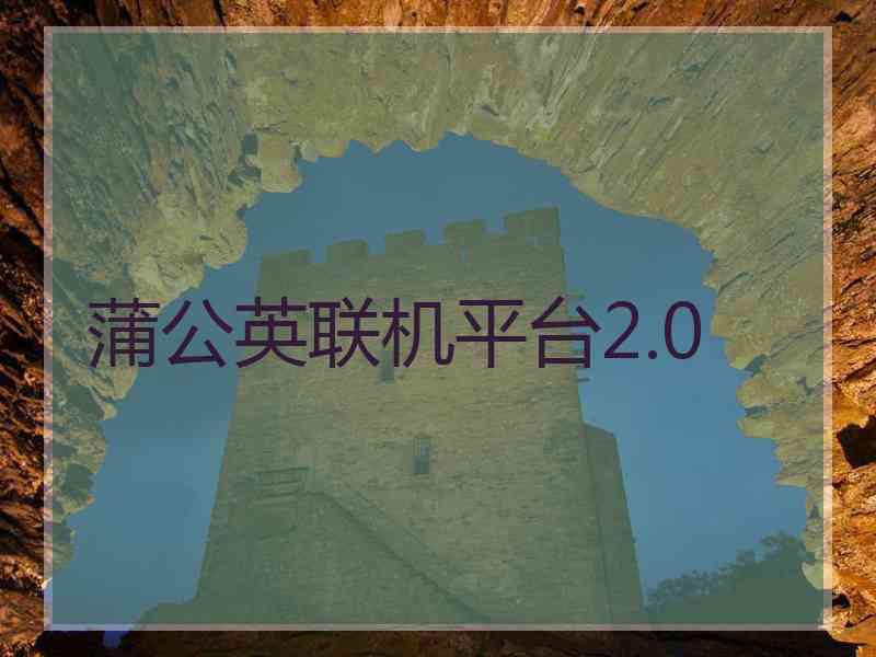蒲公英联机平台2.0