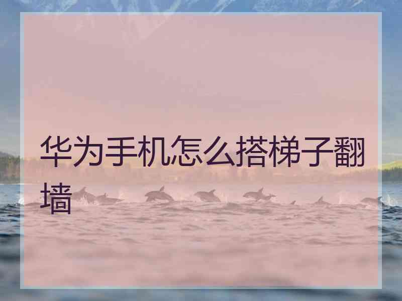 华为手机怎么搭梯子翻墙