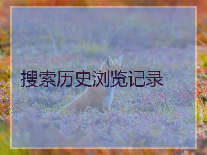 搜索历史浏览记录