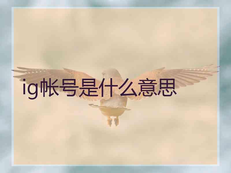 ig帐号是什么意思