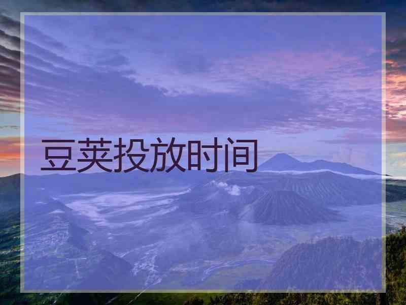 豆荚投放时间