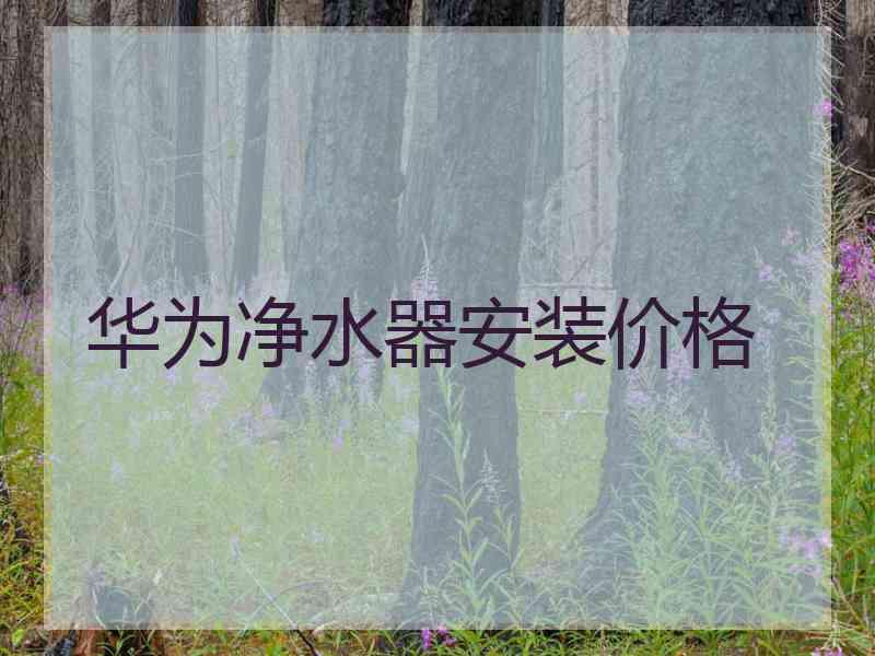 华为净水器安装价格