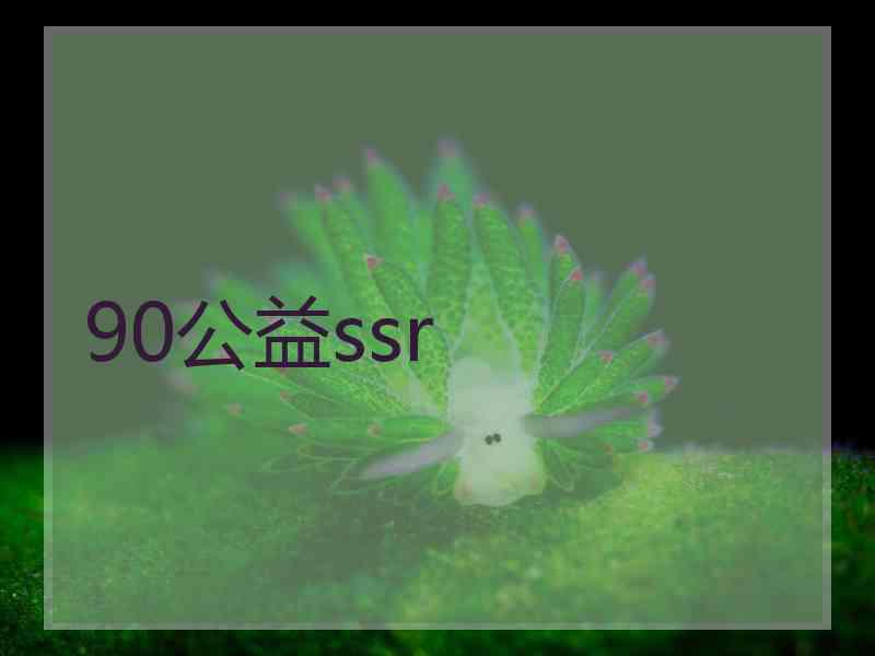 90公益ssr