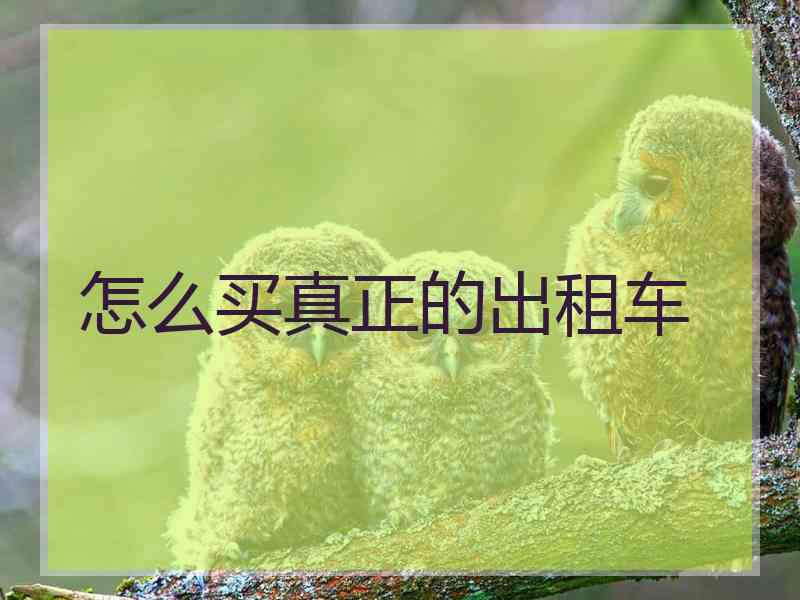 怎么买真正的出租车