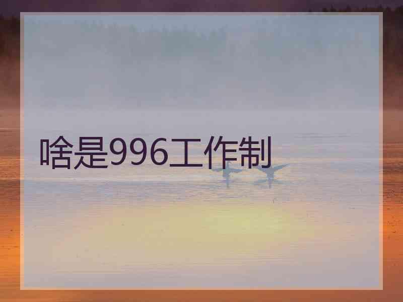 啥是996工作制